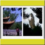 PDVD_001.jpg