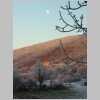 centre_hiver_pleine_lune2.jpg