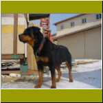DSC00148.jpg