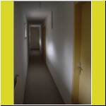 DSC00231.jpg