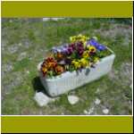 DSC00001.jpg