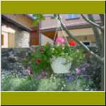 DSC00002.jpg