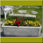 DSC00008.jpg