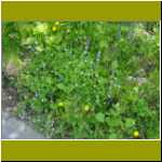 DSC00012.jpg