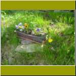 DSC00013.jpg