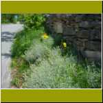 DSC00018.jpg