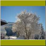 DSC00005.jpg
