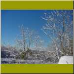 DSC00012.jpg