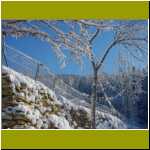 DSC00014.jpg