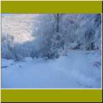 DSC00017.jpg