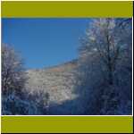 DSC00018.jpg