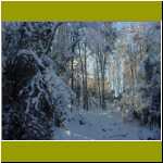 DSC00019.jpg