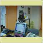 DSC00005.JPG